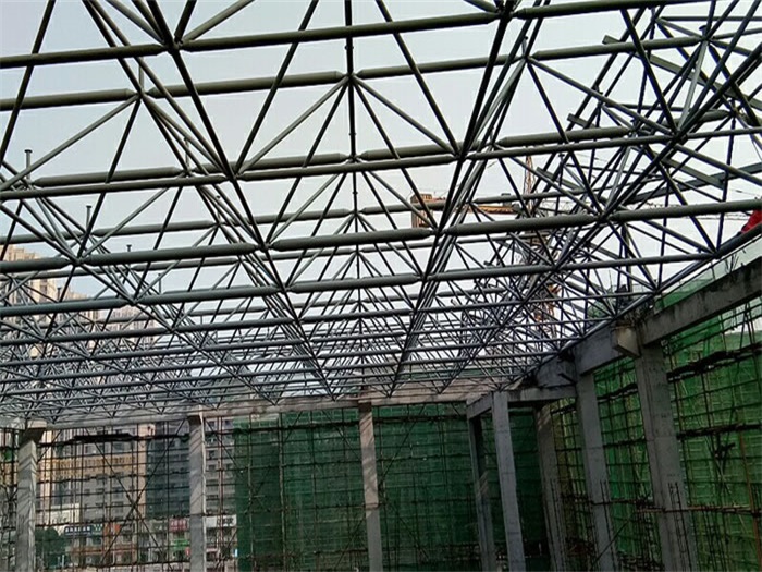 东营光谷第十一小学网架